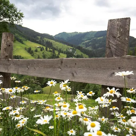 Ferienhaus Almhutte Gut Muhlreit Sankt Veit im Pongau