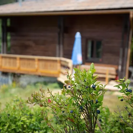 Ferienhaus Almhutte Gut Muhlreit בית נופש